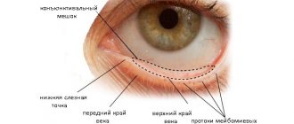 What is the conjunctival sac - structure, features