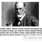 Euthanasia and Sigmund Freud