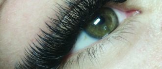 Eyelash curls for extensions: l, m, s, l, d, ss, b, j, 3D. Photo, dimensions, thickness and length 