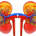 How does kidney failure manifest?