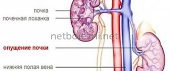 What does the pathology look like?