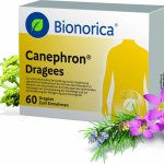 Canephron is a herbal antimicrobial agent