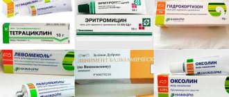 Ointments for stye on the eye - review of products