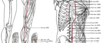 Kidney meridian