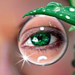 Traditional methods of treating eye glaucoma