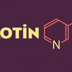 Nicotine: effects on the human body