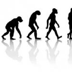 From ape to man