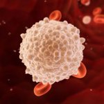 Elevated leukocytes in the blood of women - causes and consequences
