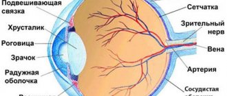 Tablets to strengthen eye blood vessels