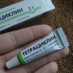 tetracycline eye ointment instructions for use price