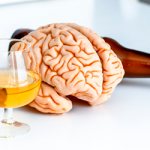 Влияние алкоголя на умственную деятельность - Веримед