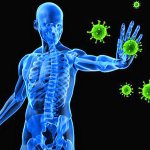protective properties of the immune system